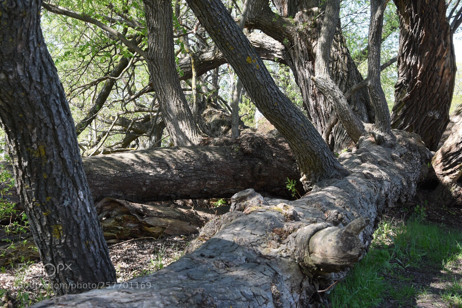 Nikon D7200 sample photo. Untitled photography