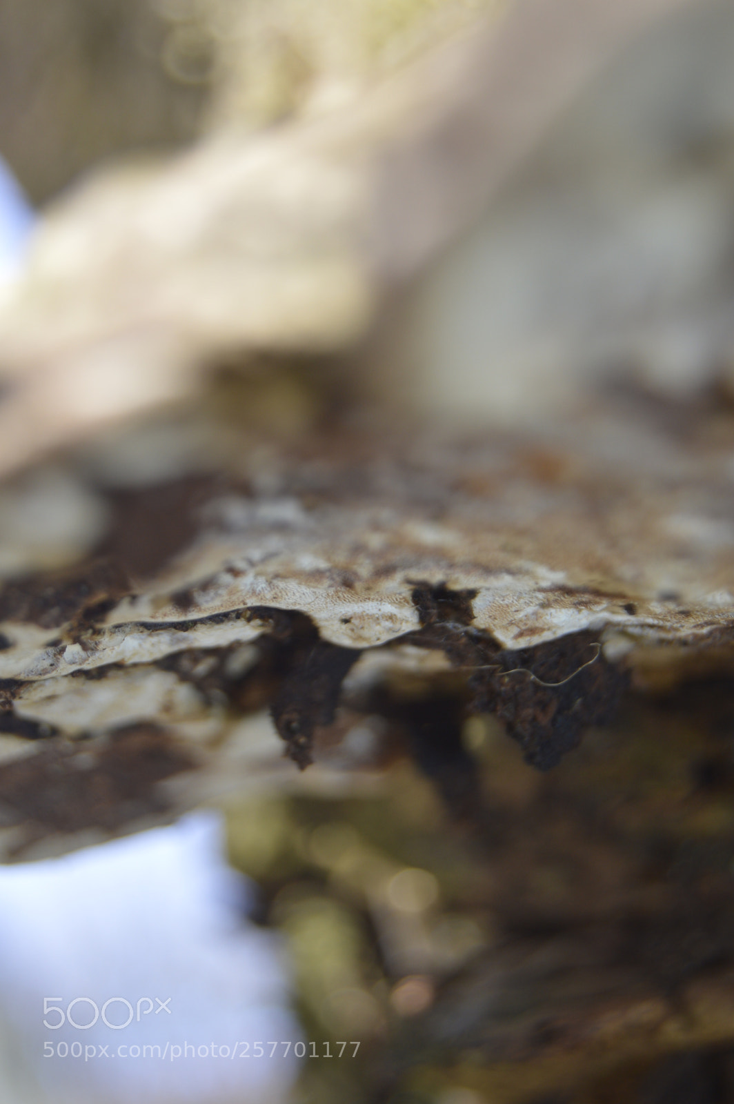 Nikon D3200 sample photo. Dansk natur photography