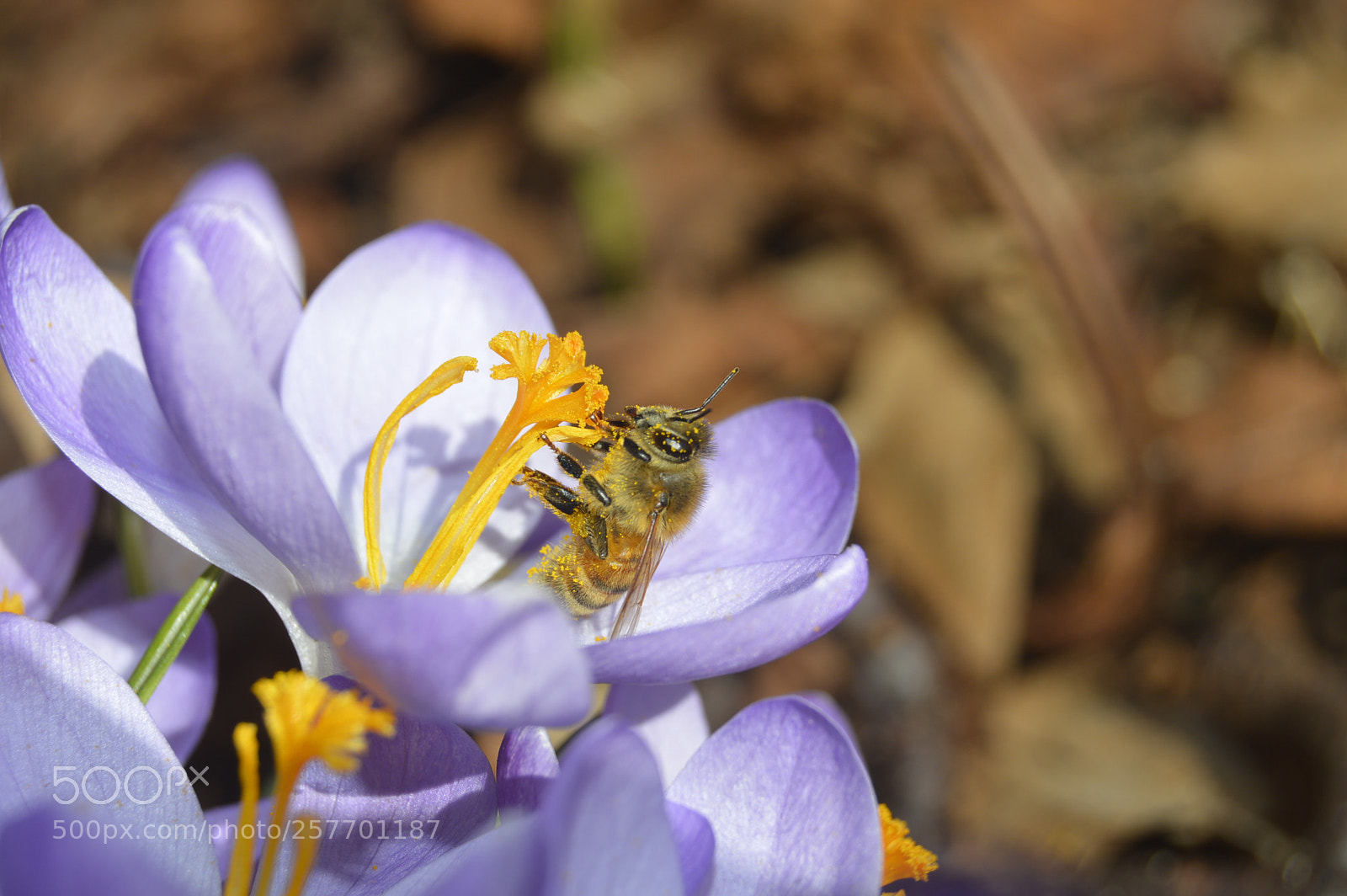Nikon D3200 sample photo. Dansk natur photography