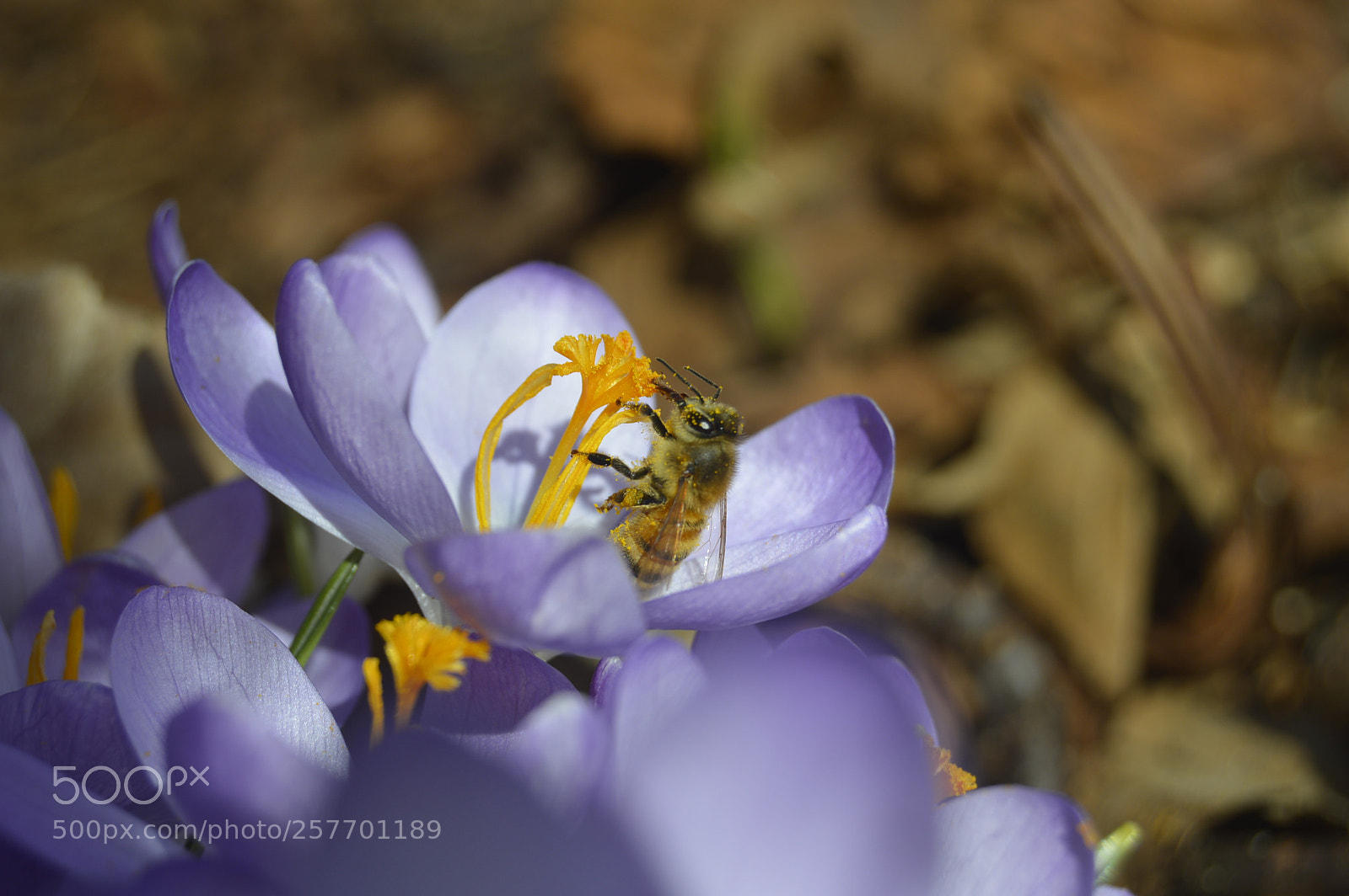Nikon D3200 sample photo. Dansk natur photography
