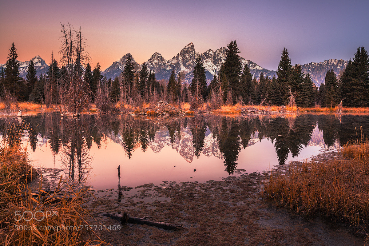 Canon EOS 5D Mark II sample photo. Schwabacher landing photography
