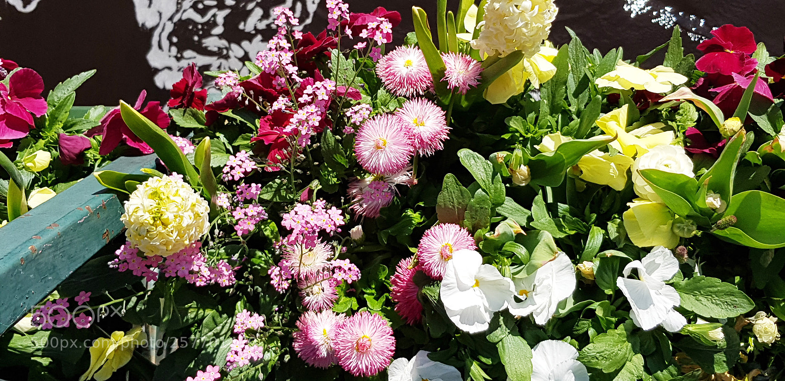 Samsung Galaxy S8 sample photo. Many flowers in many photography
