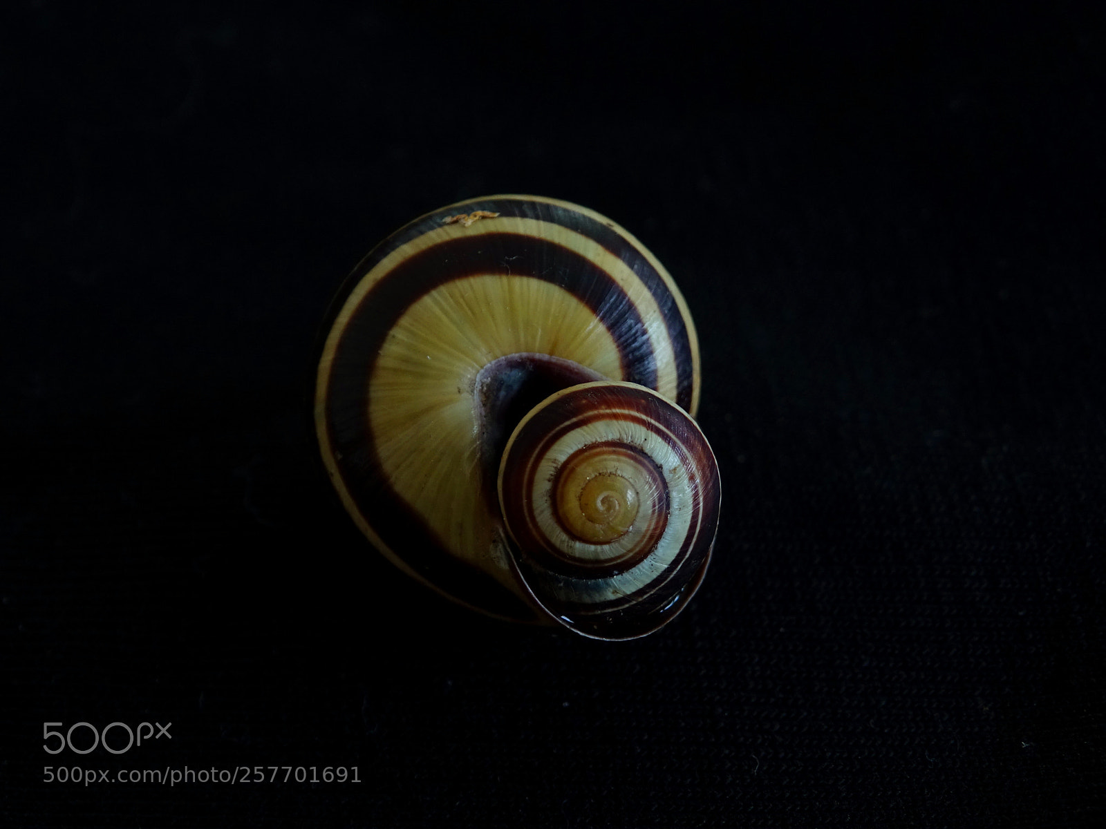 Sony Cyber-shot DSC-HX400V sample photo. Mutter und kind photography