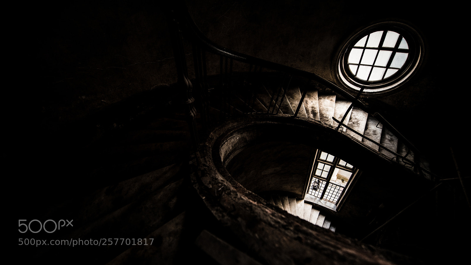 Nikon D810 sample photo. Untitled photography