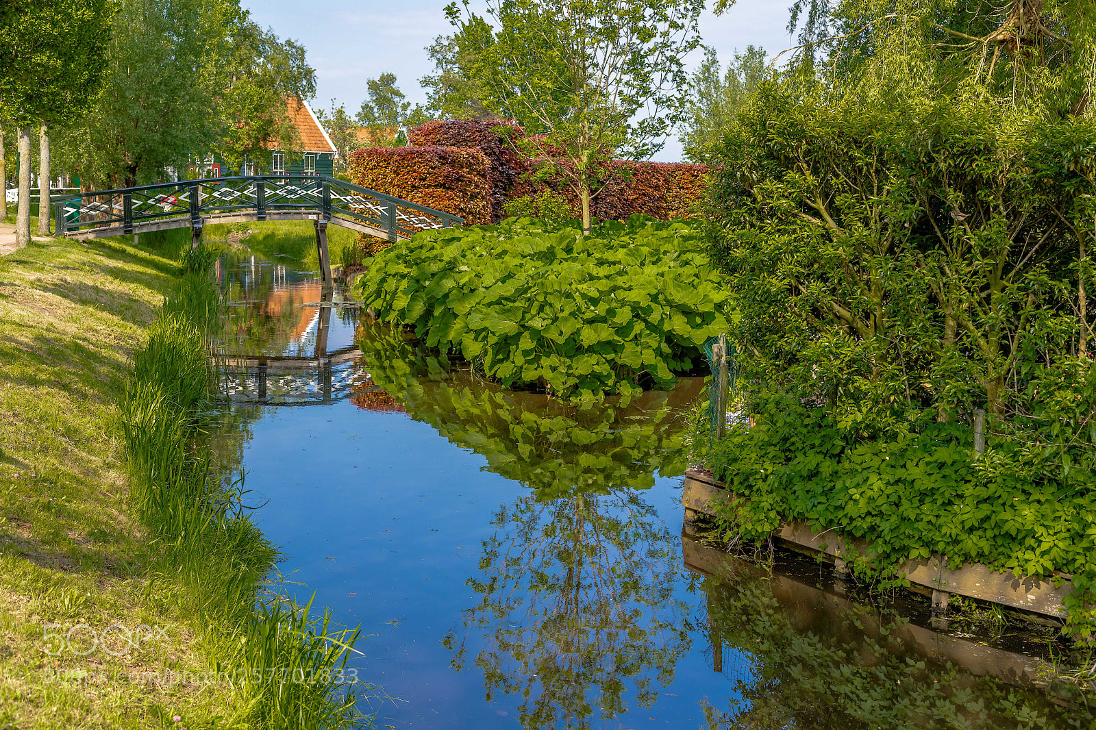 Canon EOS 5D Mark IV sample photo. The green painting photography