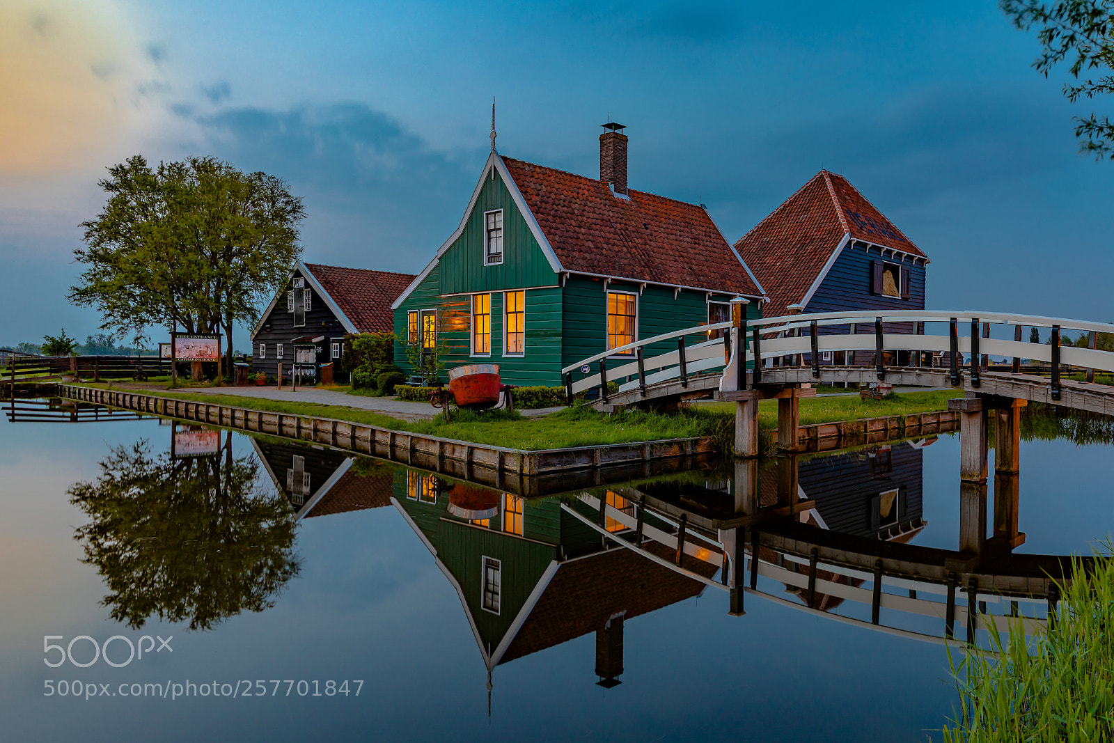 Canon EOS 5D Mark IV sample photo. The green painting photography