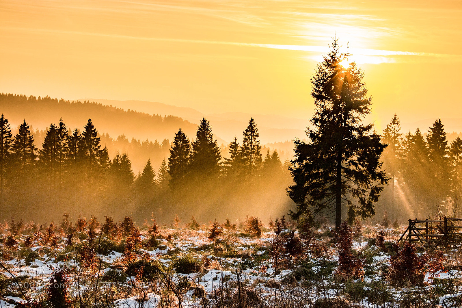 Canon EOS 70D sample photo. Sunset in winter. photography