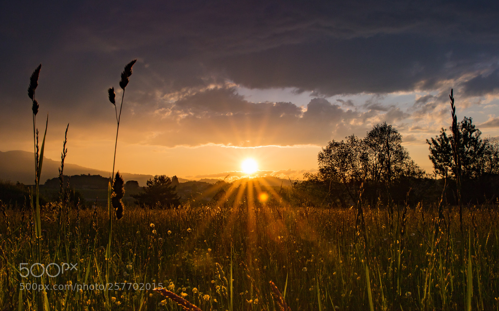 Canon EOS 750D (EOS Rebel T6i / EOS Kiss X8i) sample photo. Abendstimmung thun photography