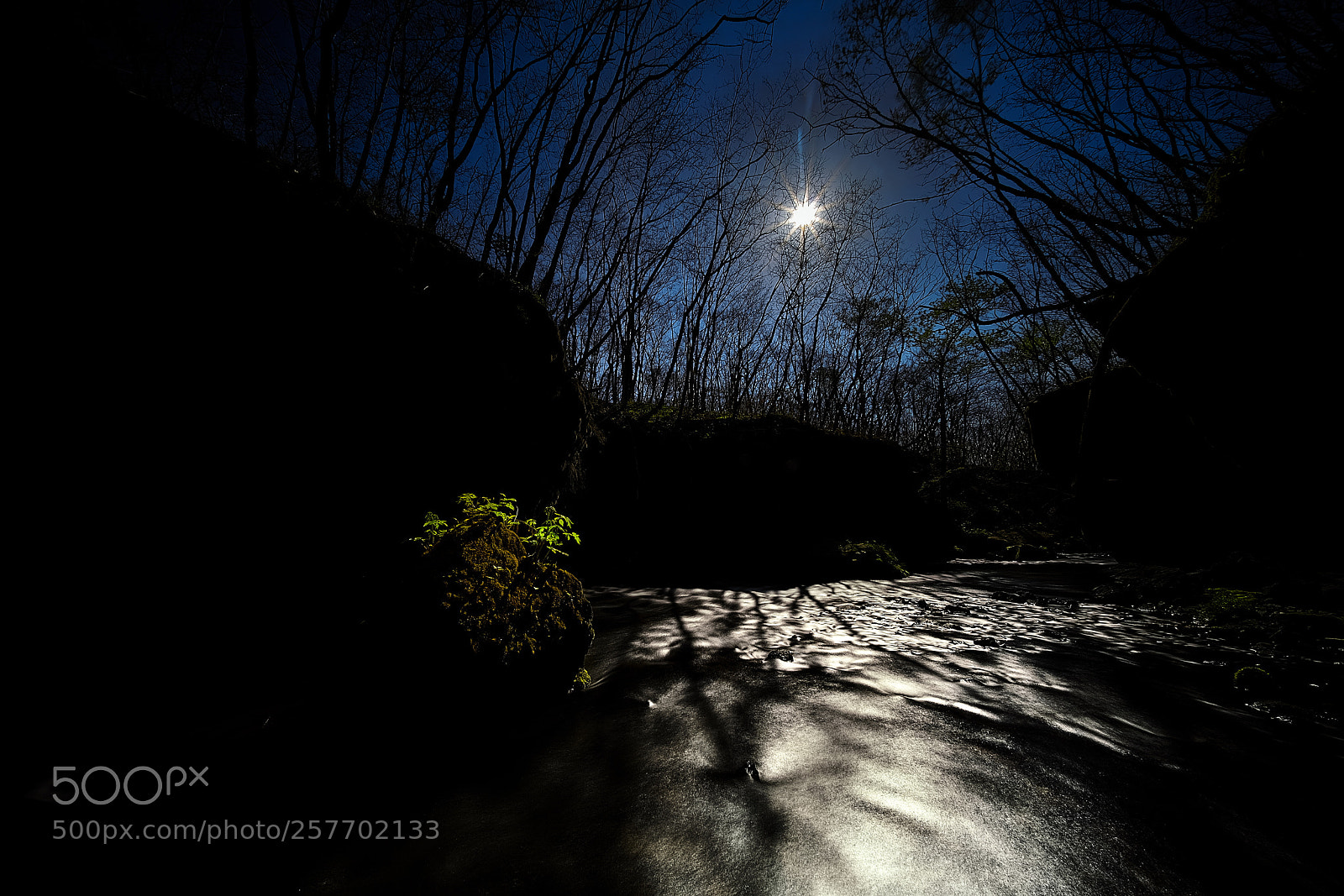Sony a7R III sample photo. Spring garo ll photography