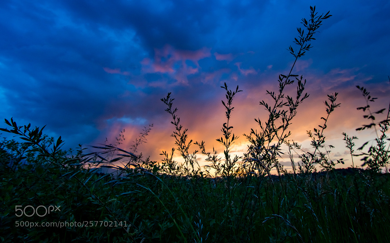 Canon EOS 750D (EOS Rebel T6i / EOS Kiss X8i) sample photo. Abendstimmung thun photography