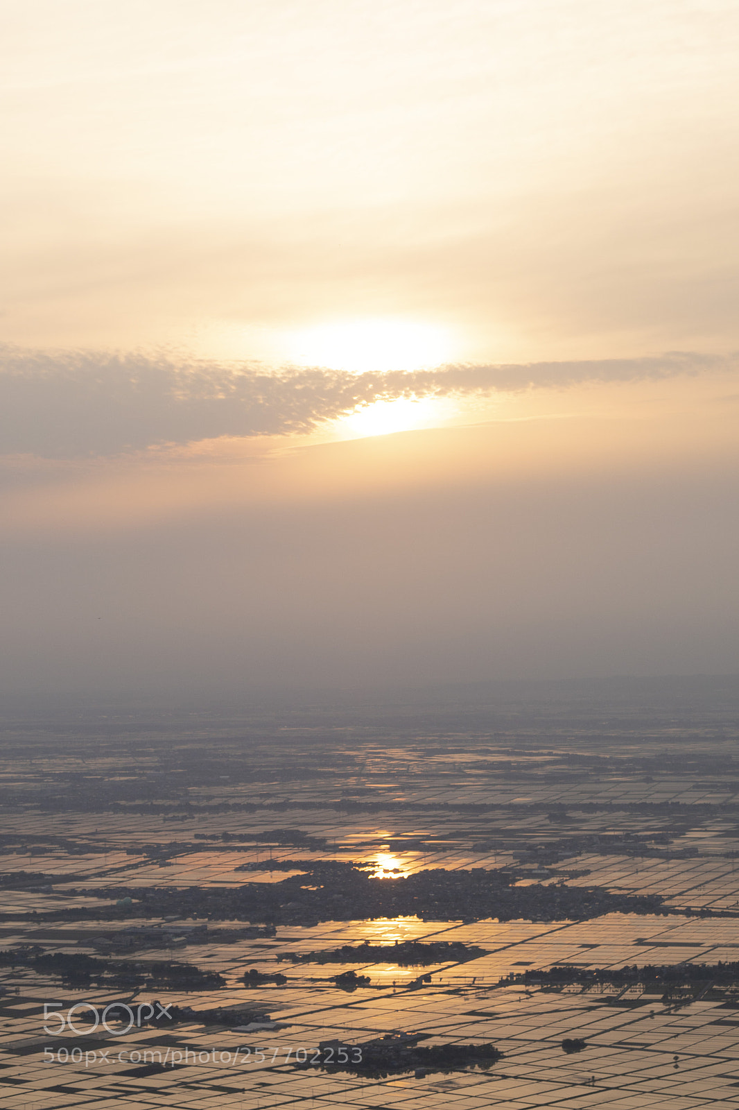 Canon EOS 5D Mark IV sample photo. Endless rice field photography