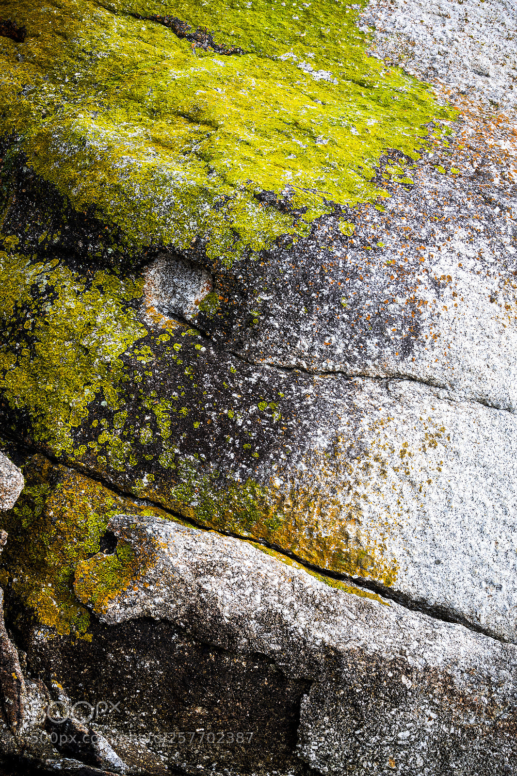 Canon EOS 6D sample photo. Abstract textures photography