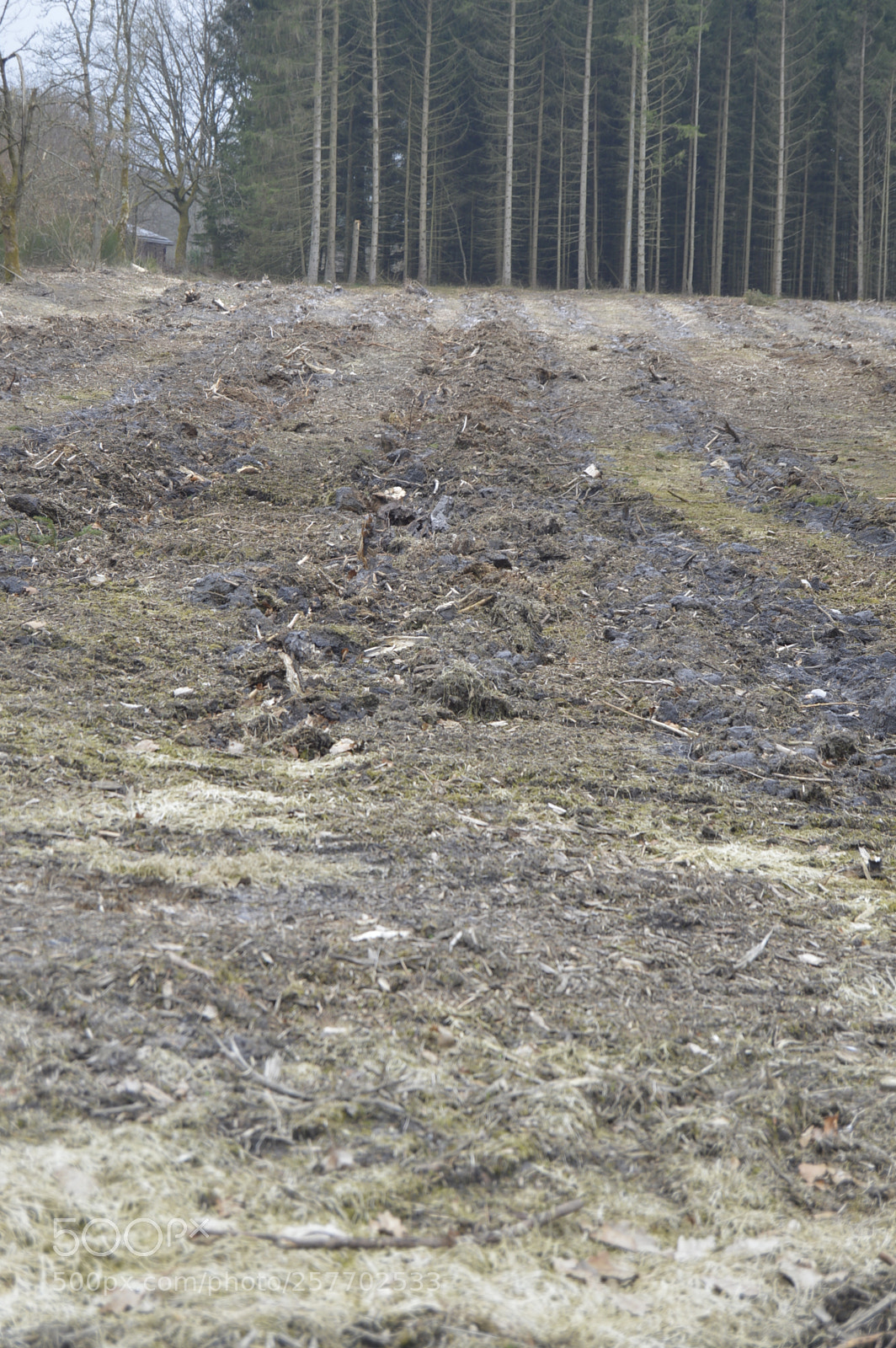 Nikon D3200 sample photo. Dansk natur photography