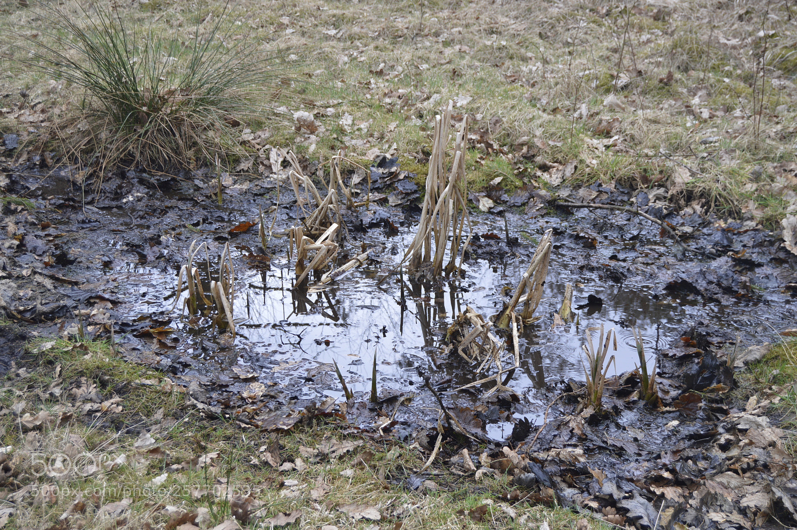 Nikon D3200 sample photo. Dansk natur photography
