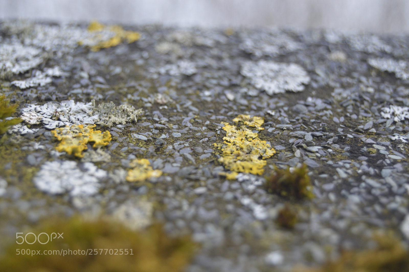 Nikon D3200 sample photo. Dansk natur photography