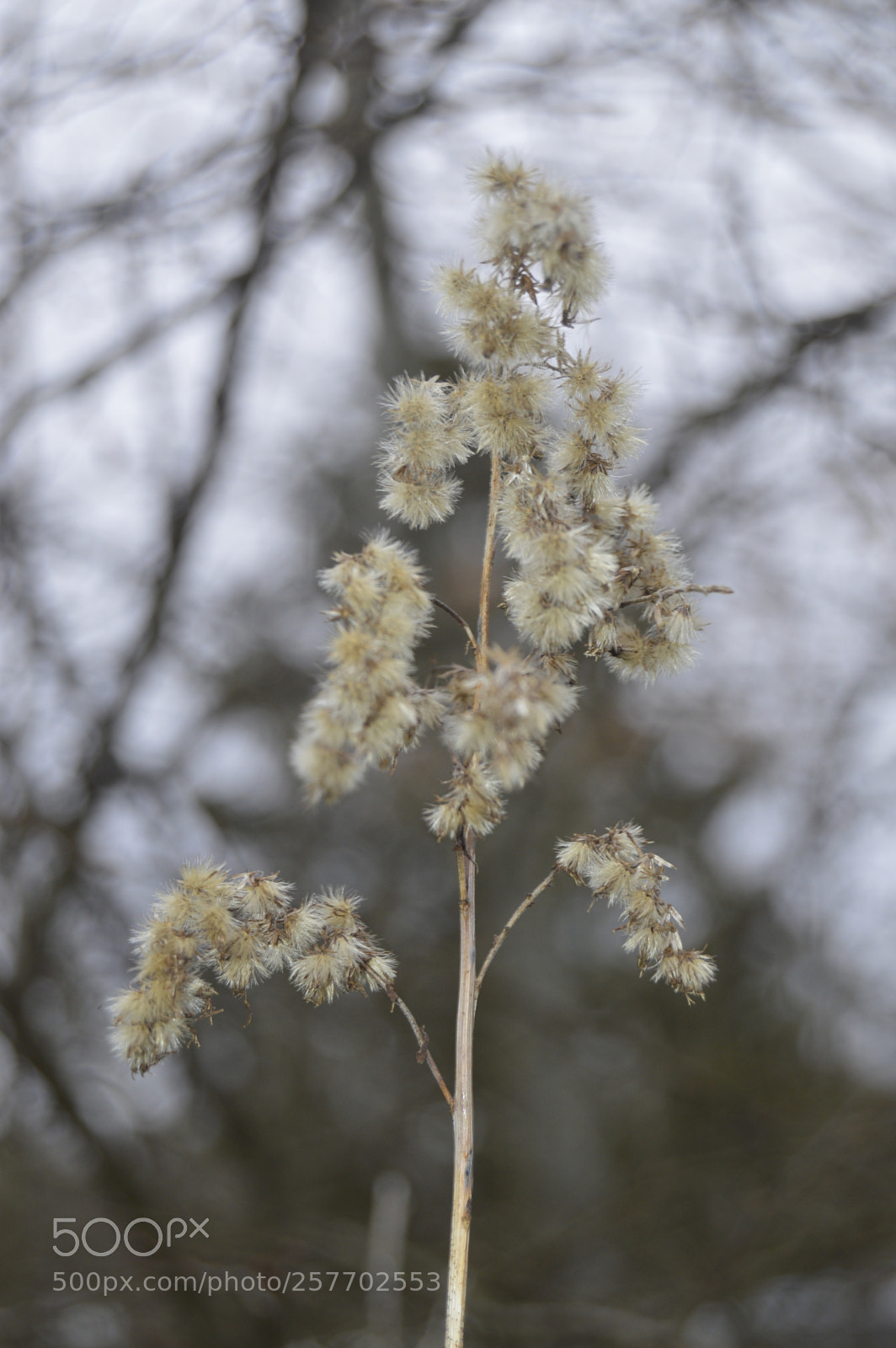 Nikon D3200 sample photo. Dansk natur photography