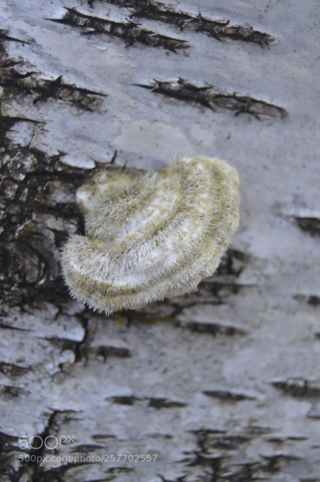 Nikon D3200 sample photo. Dansk natur photography