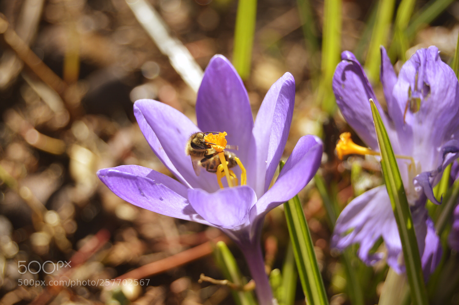 Nikon D3200 sample photo. Dansk natur photography