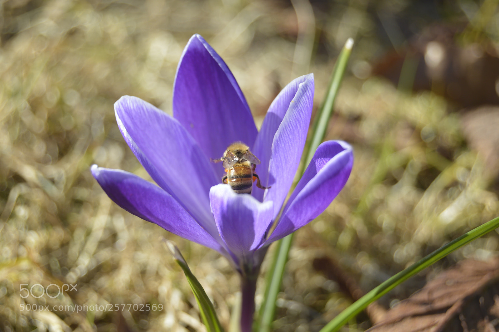 Nikon D3200 sample photo. Dansk natur photography
