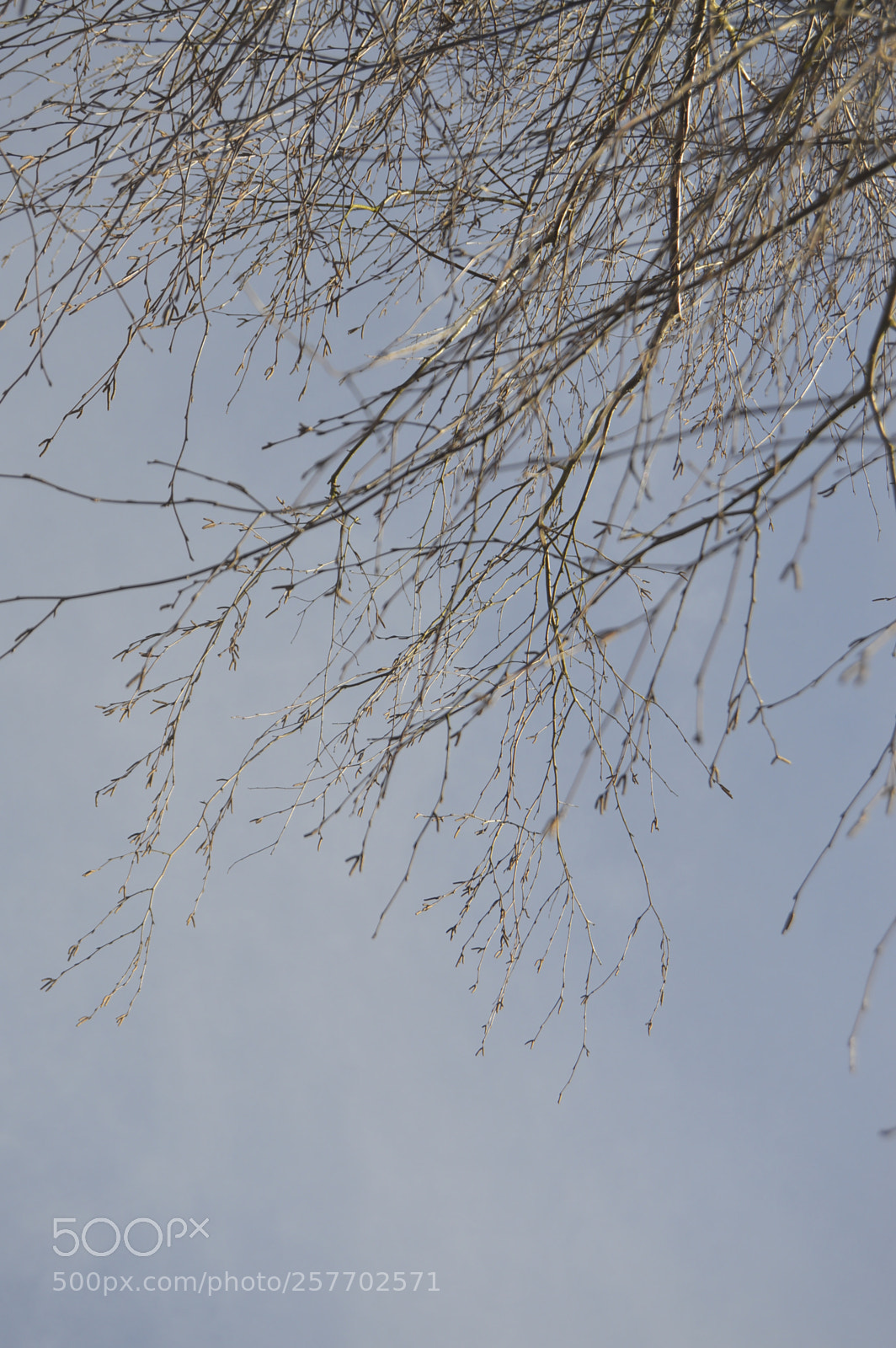 Nikon D3200 sample photo. Dansk natur photography