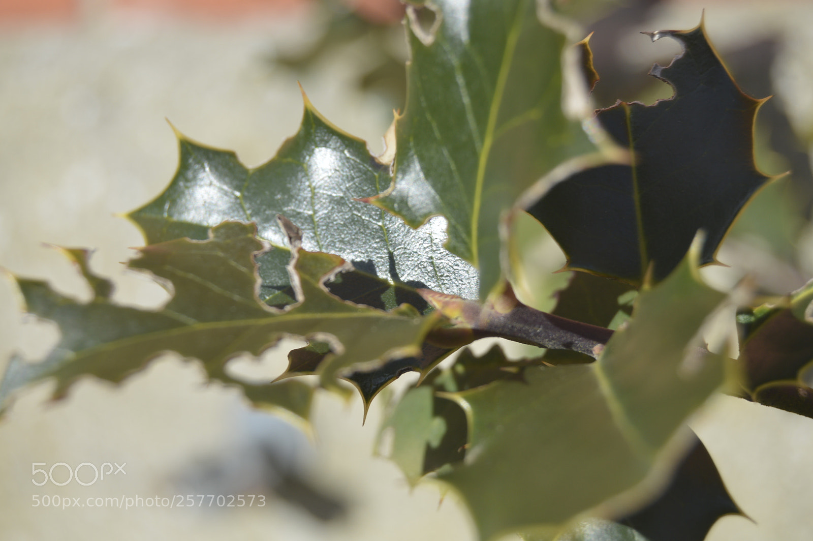 Nikon D3200 sample photo. Dansk natur photography