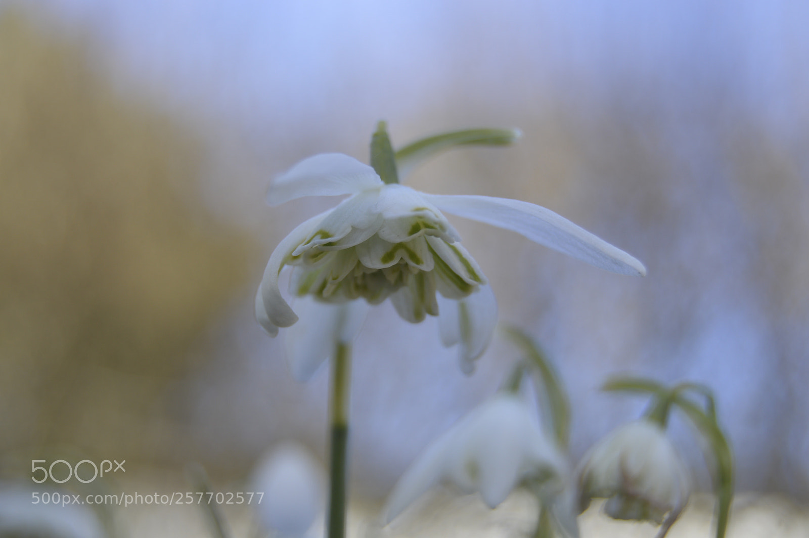 Nikon D3200 sample photo. Dansk natur photography