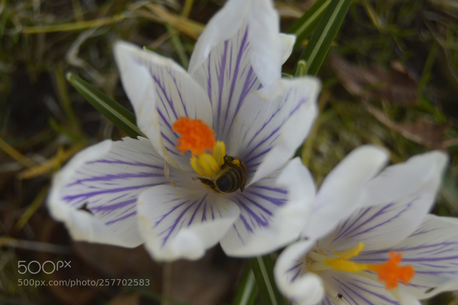 Nikon D3200 sample photo. Dansk natur photography