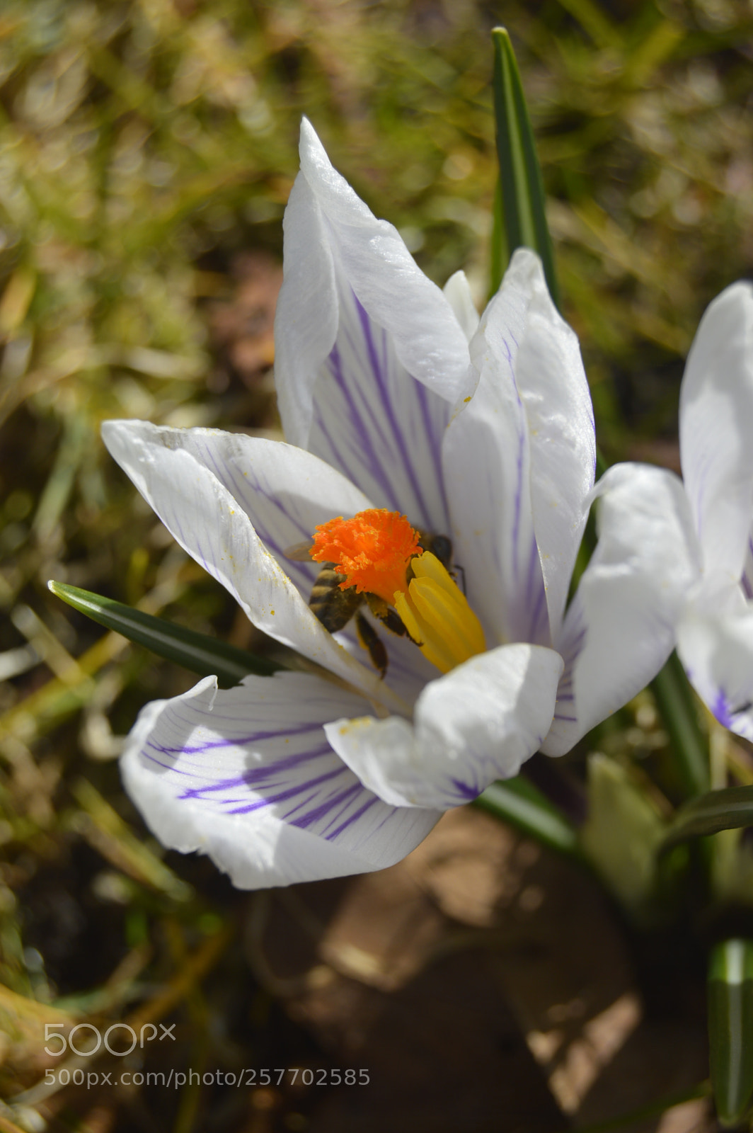 Nikon D3200 sample photo. Dansk natur photography