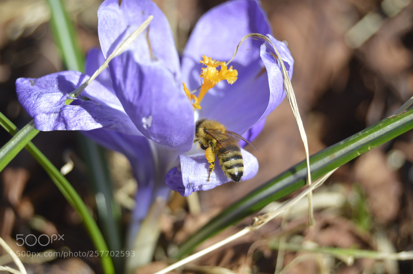 Nikon D3200 sample photo. Dansk natur photography