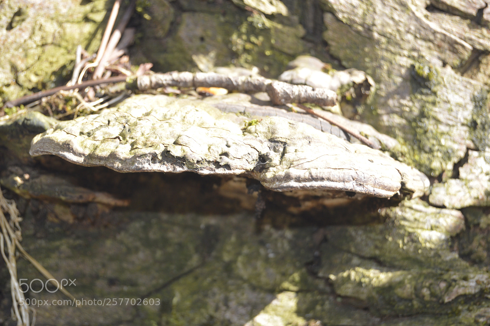 Nikon D3200 sample photo. Dansk natur photography