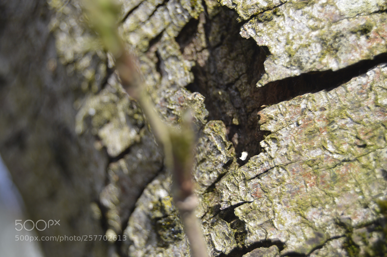 Nikon D3200 sample photo. Dansk natur photography