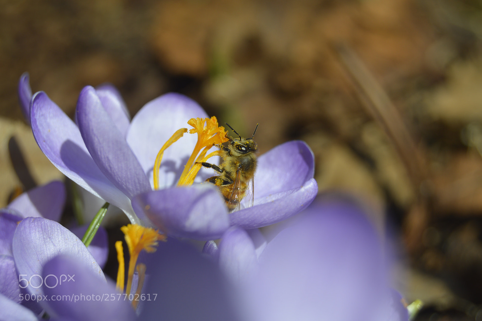 Nikon D3200 sample photo. Dansk natur photography