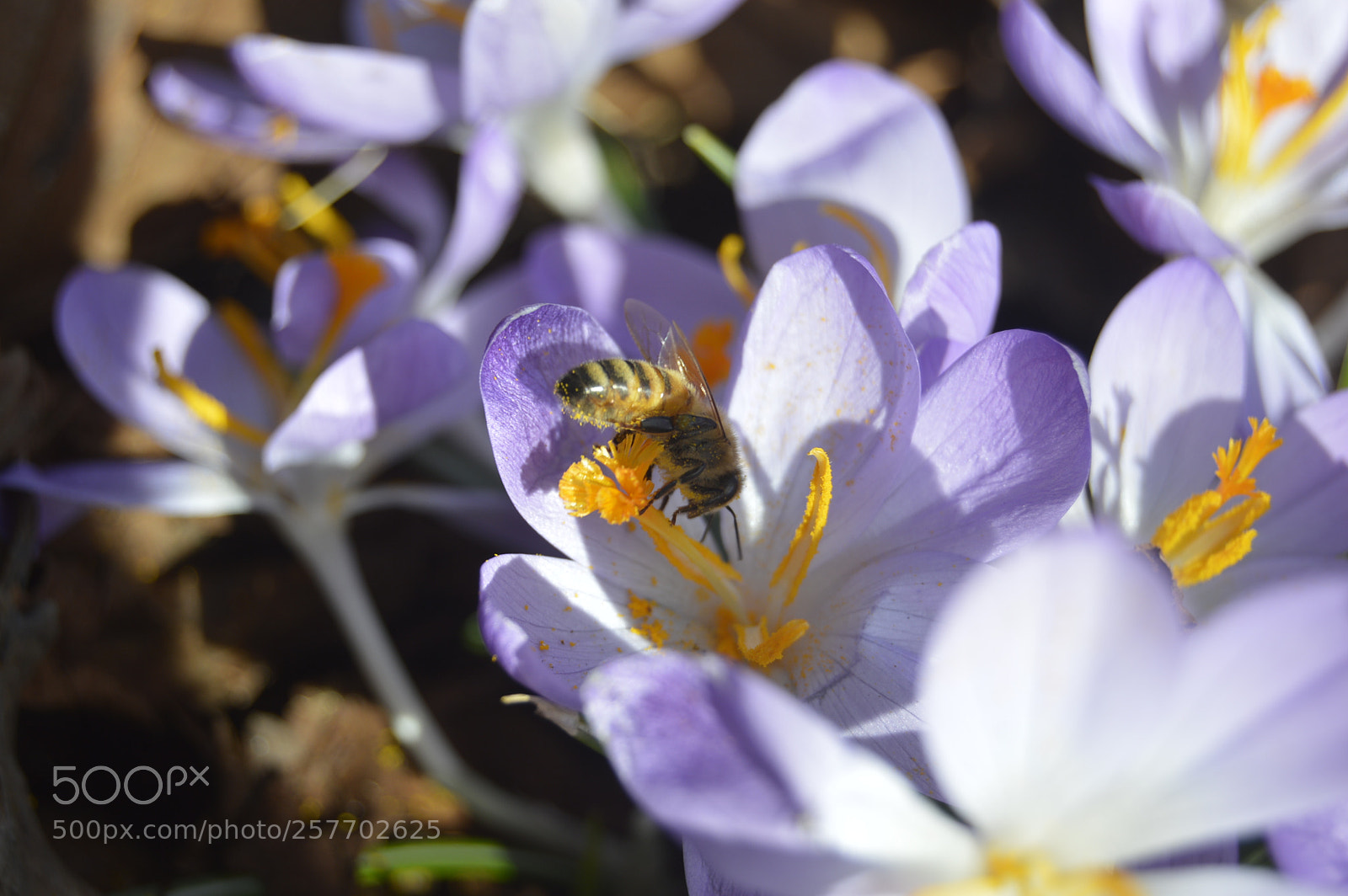 Nikon D3200 sample photo. Dansk natur photography