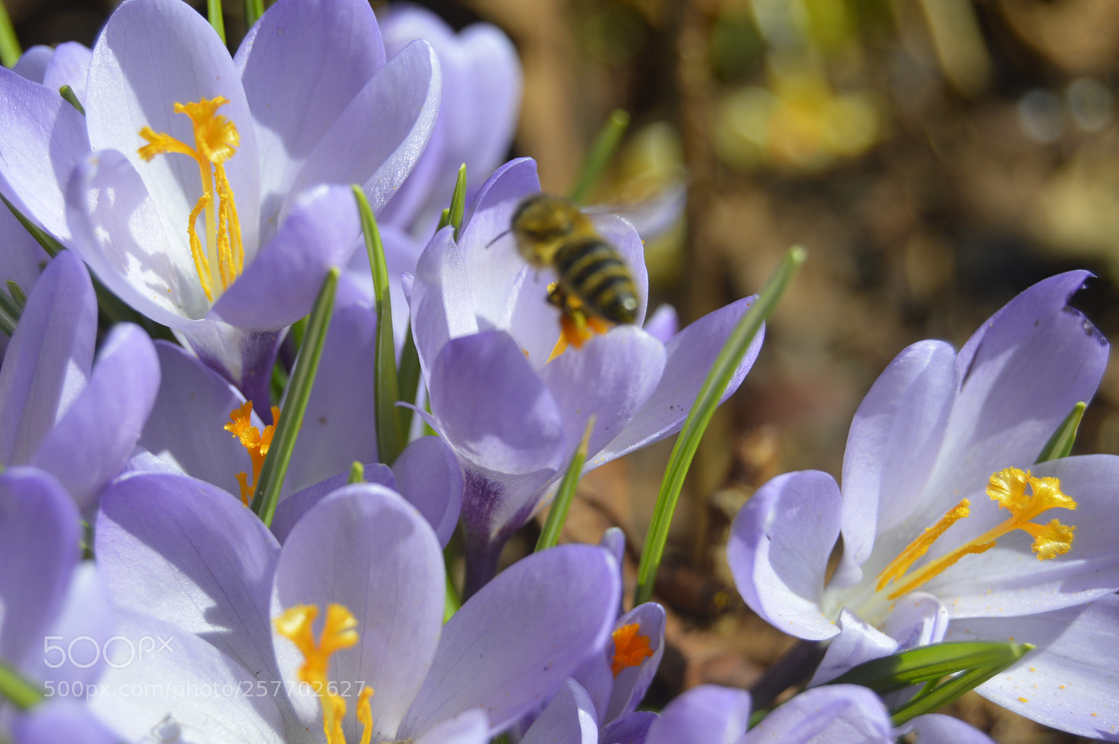 Nikon D3200 sample photo. Dansk natur photography