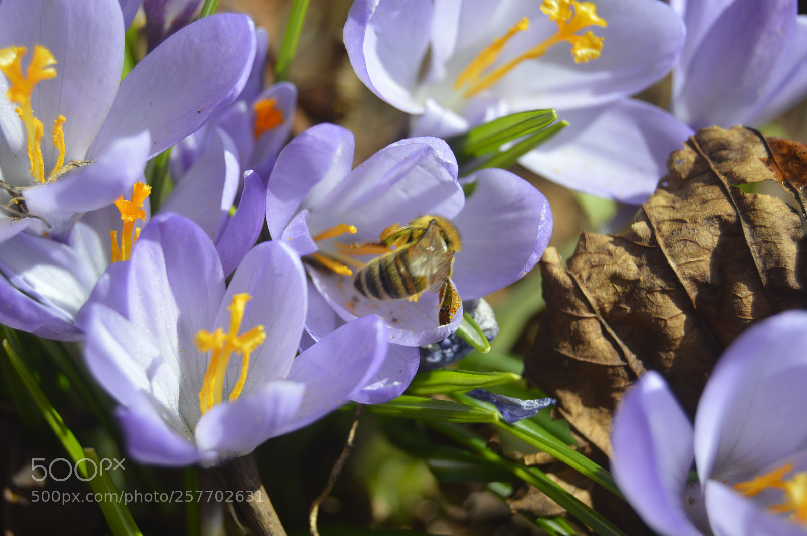 Nikon D3200 sample photo. Dansk natur photography