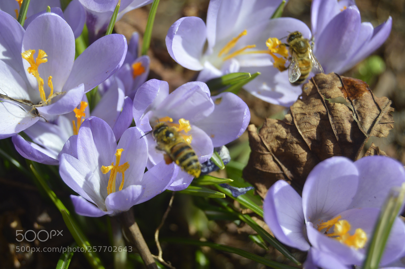 Nikon D3200 sample photo. Dansk natur photography