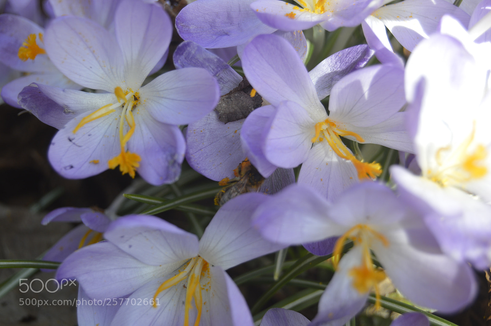 Nikon D3200 sample photo. Dansk natur photography