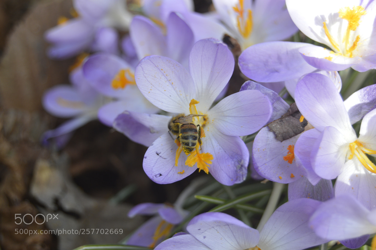 Nikon D3200 sample photo. Dansk natur photography