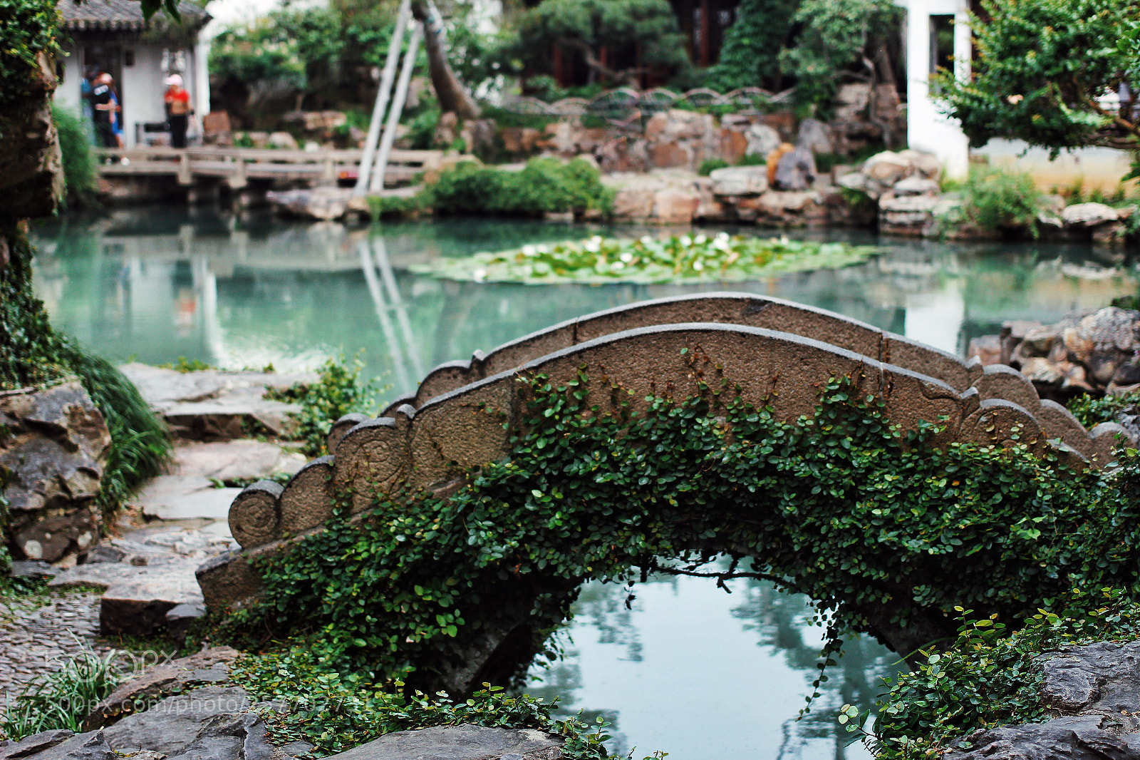 Canon EOS 100D (EOS Rebel SL1 / EOS Kiss X7) sample photo. 网师园 photography