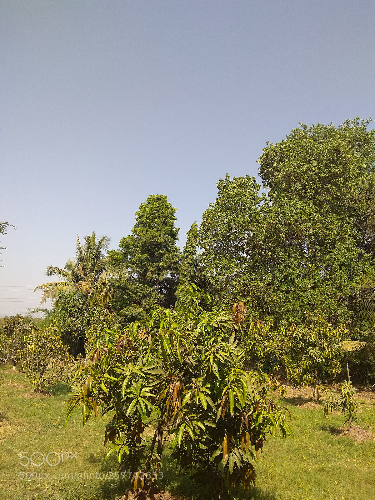 Xiaomi Redmi Note 4 sample photo. 1526206190394771026874.jpg photography