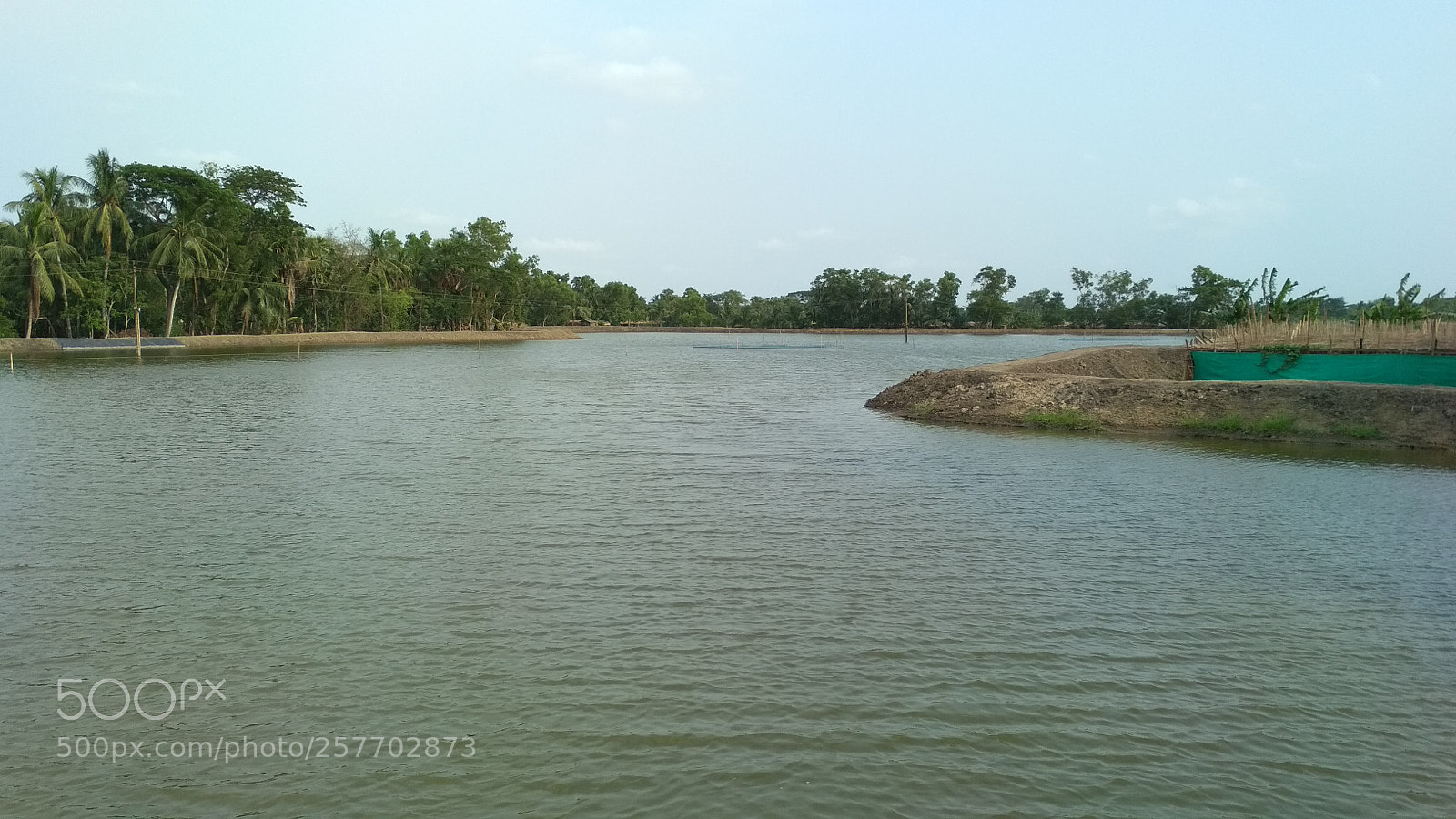 Xiaomi Redmi 4 Pro sample photo. Untitled photography
