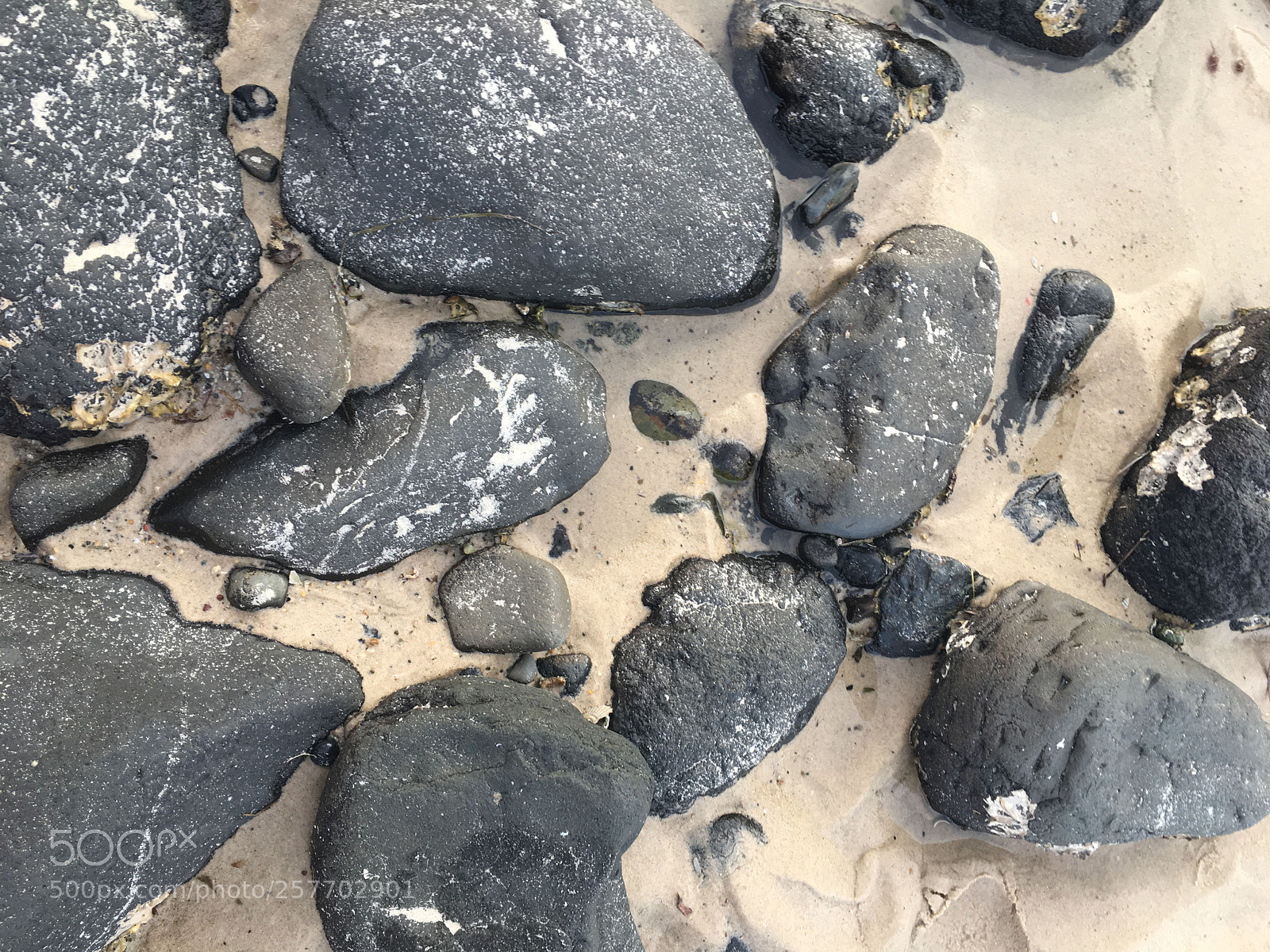 Apple iPhone 6s sample photo. Rugged photography