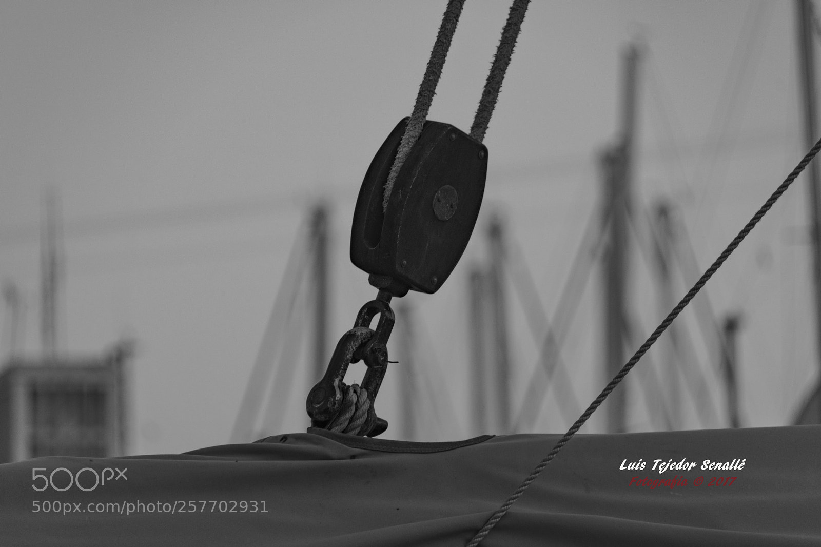 Nikon D500 sample photo. Lts photography