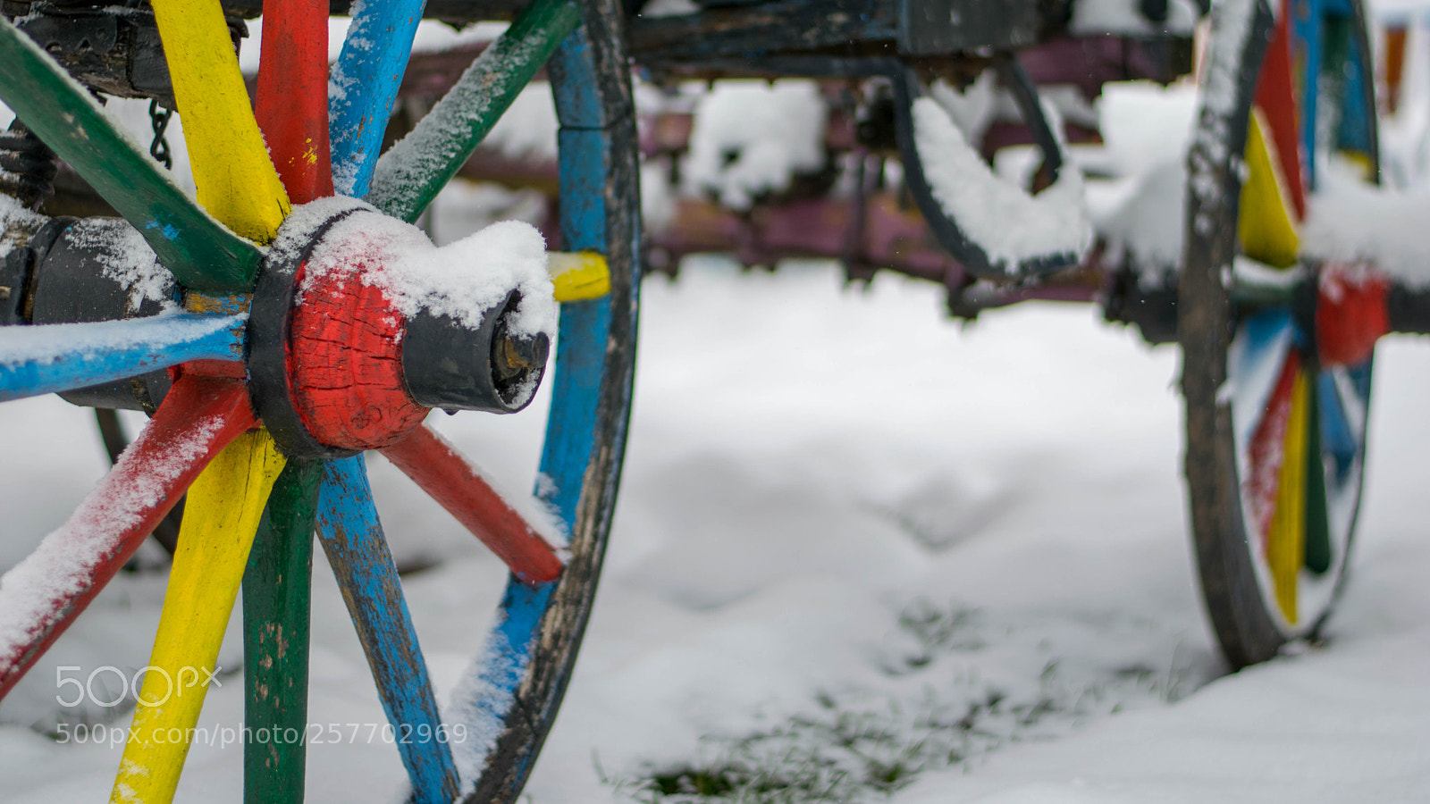 Nikon D3300 sample photo. Colorful photography