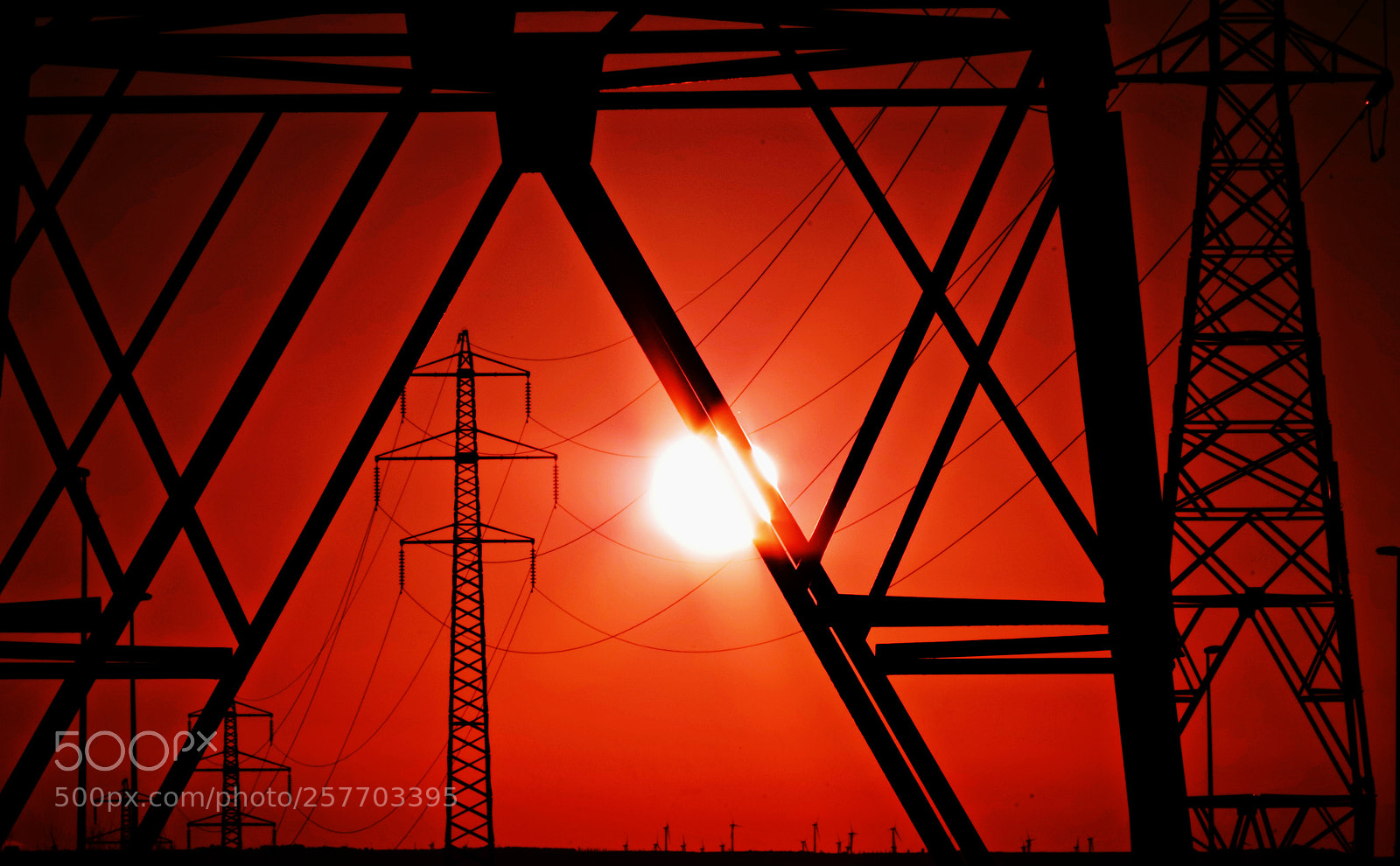Pentax K-50 sample photo. Crop photography