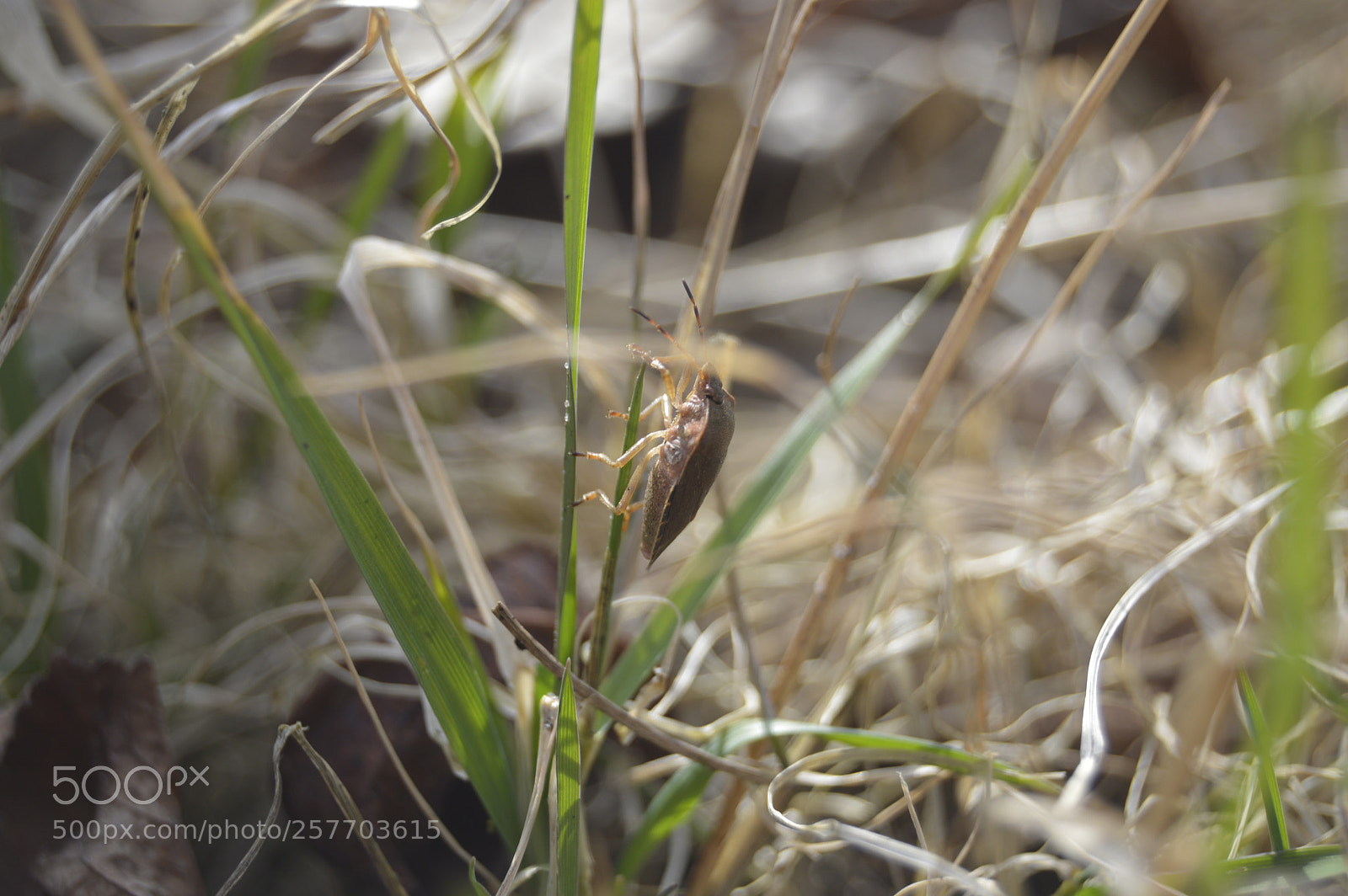 Nikon D3200 sample photo. Dansk natur photography