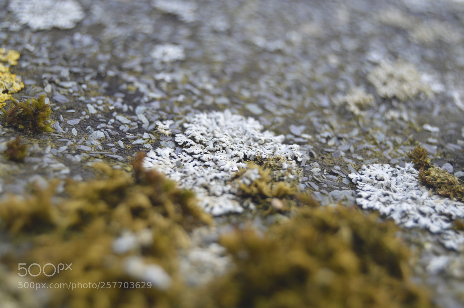 Nikon D3200 sample photo. Dansk natur photography