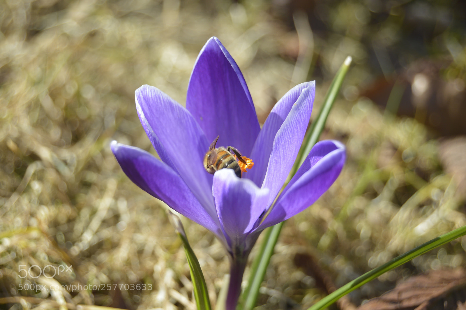 Nikon D3200 sample photo. Dansk natur photography