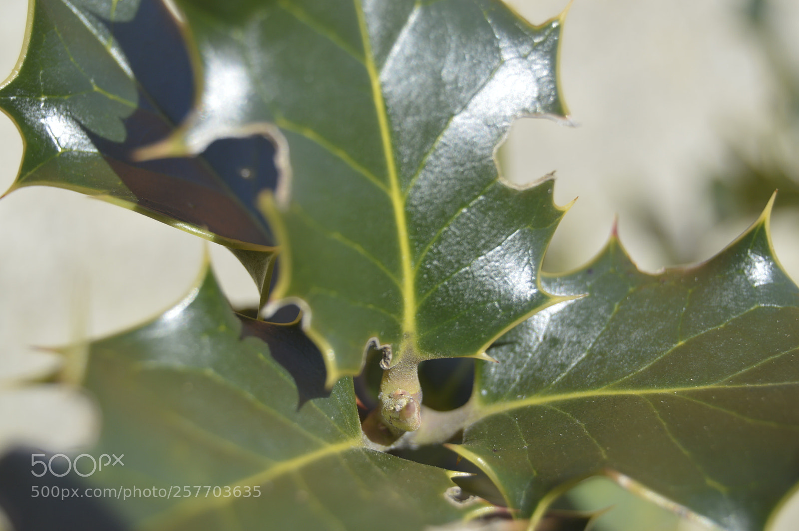 Nikon D3200 sample photo. Dansk natur photography