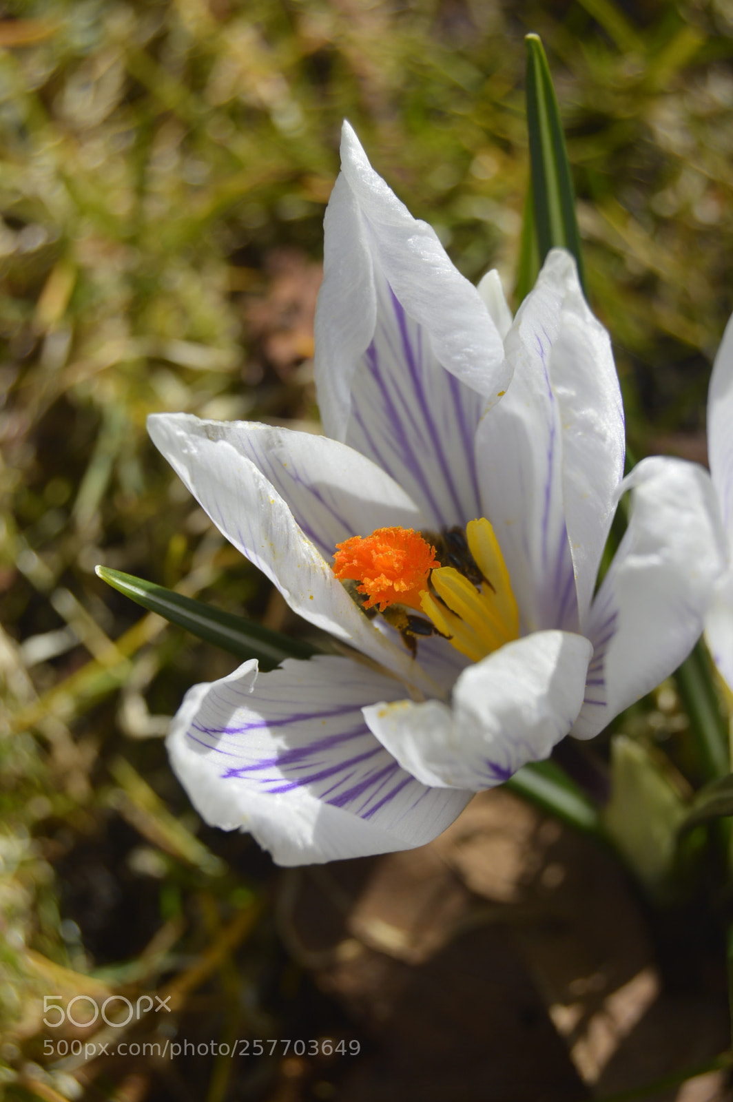Nikon D3200 sample photo. Dansk natur photography
